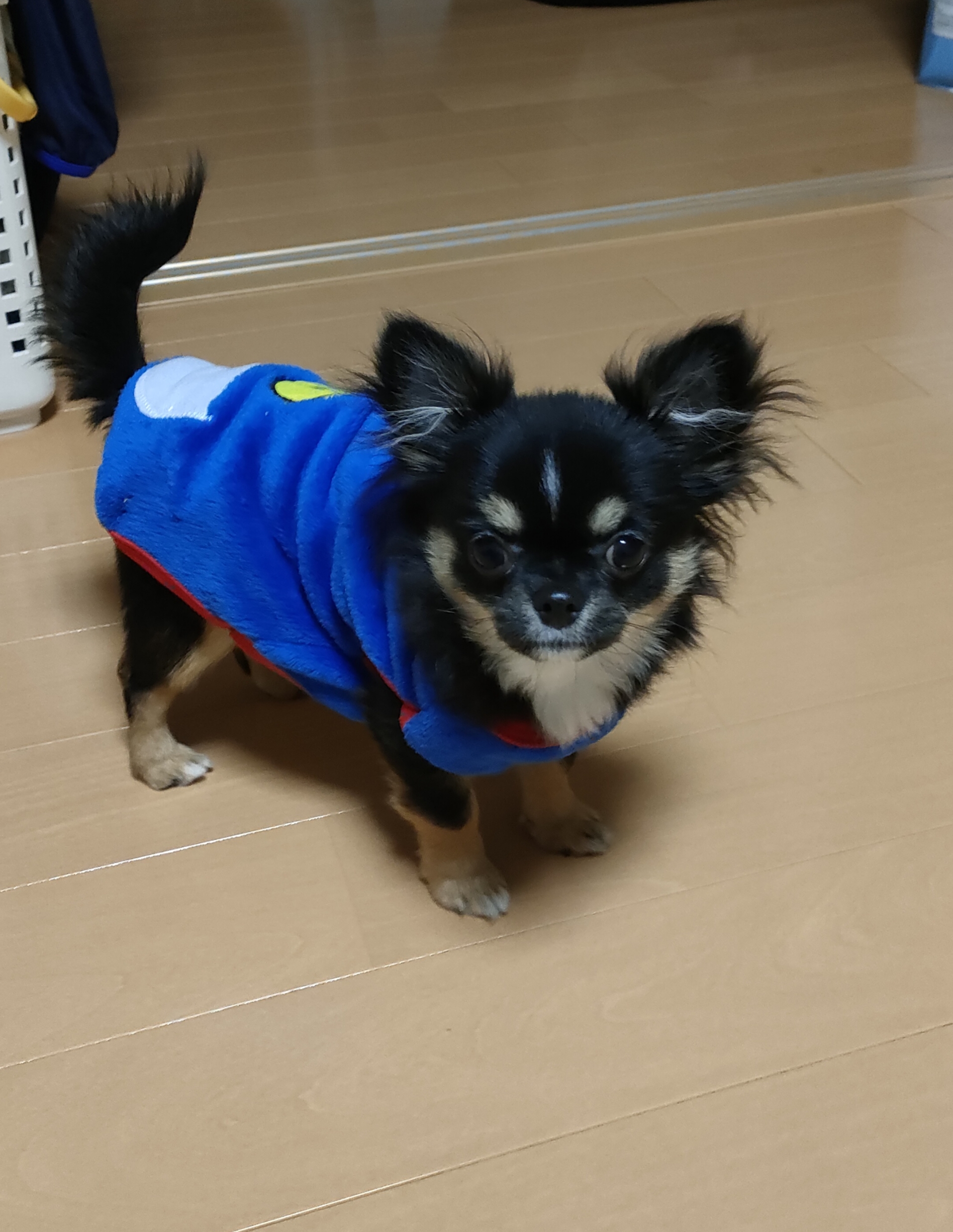 今日の雑なできごと